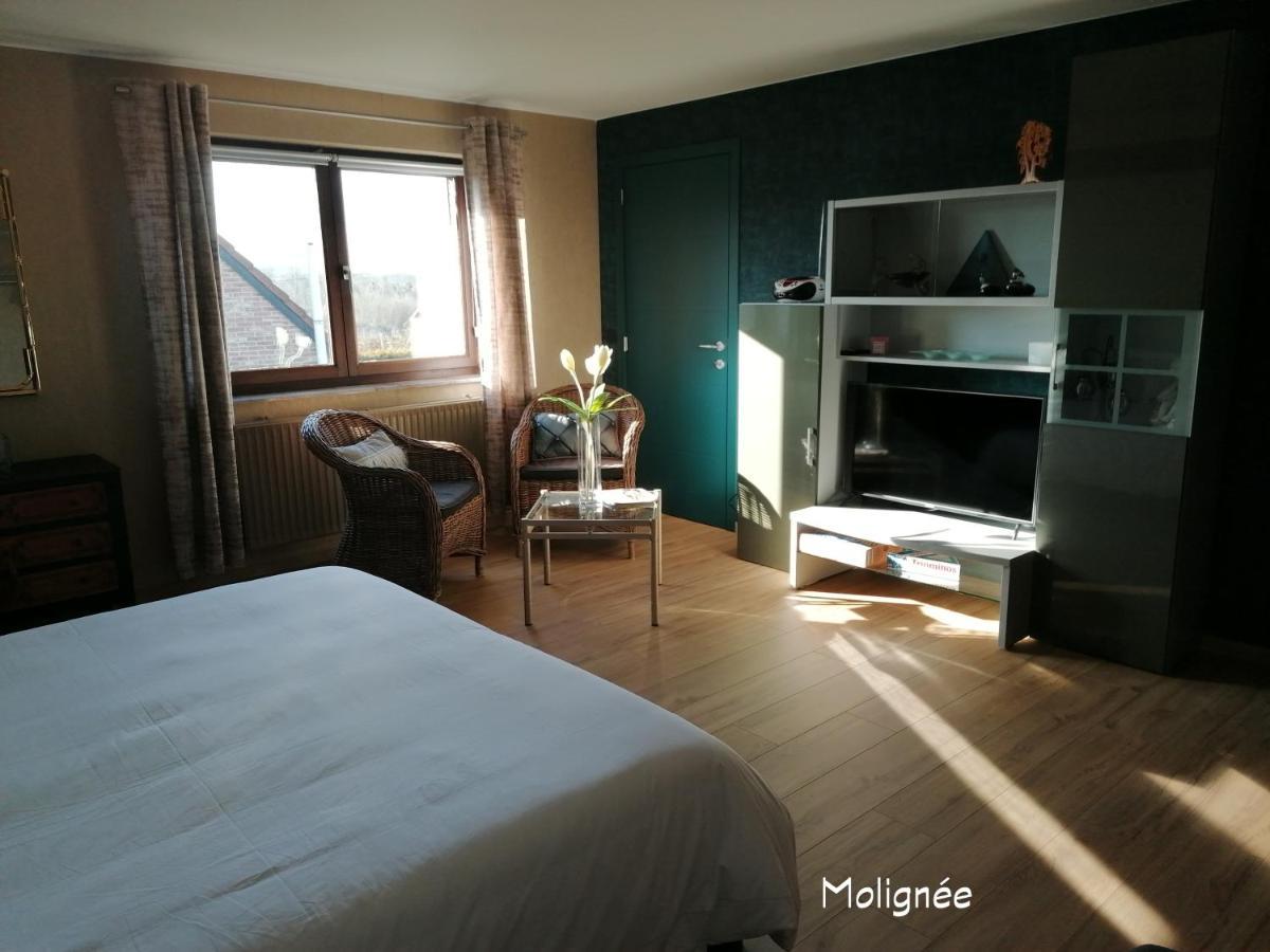 Le Cerisier Bed and Breakfast Bioul Buitenkant foto